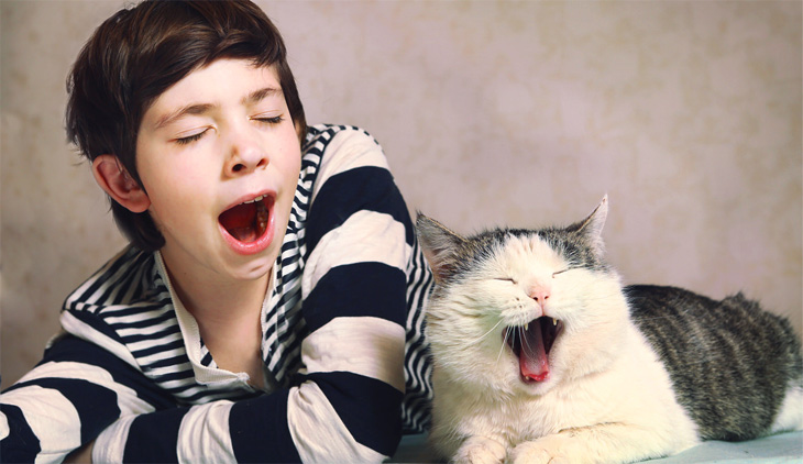 cat and child yawning together